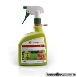 Фунгіцид-Спрей Амістар Голд 250 SC к.с., 1 л, Syngenta